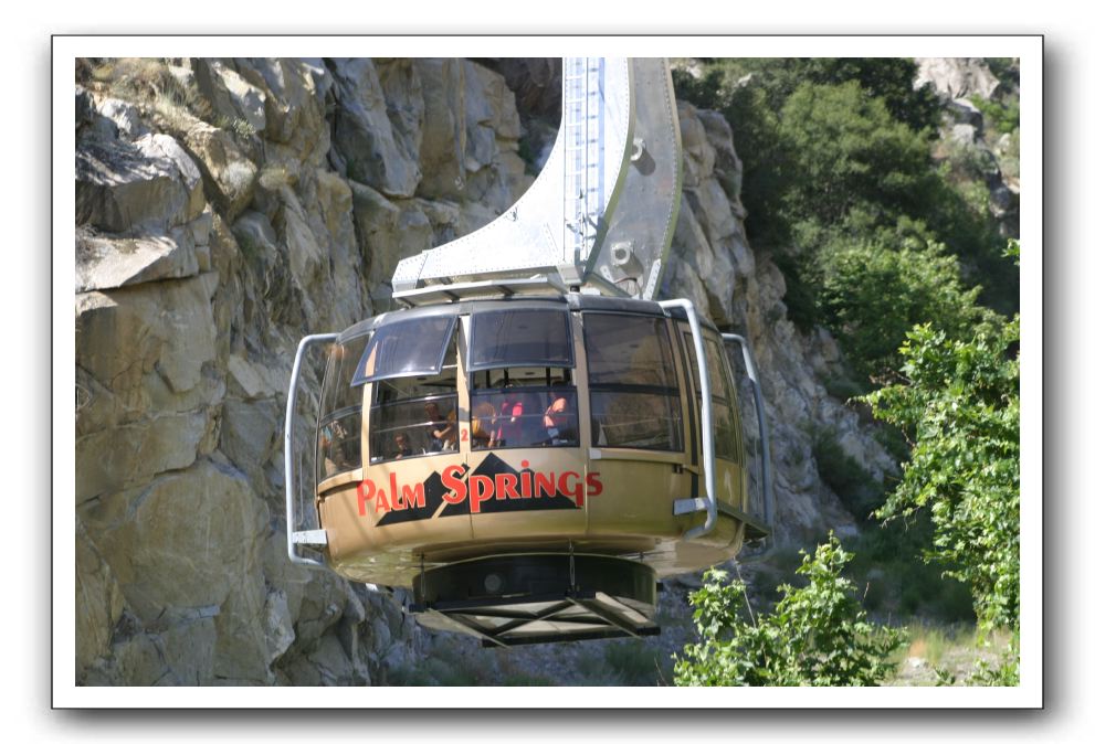 Top-of-the-Palm-Springs-Tram-0012