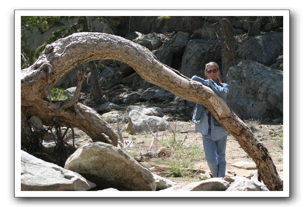 Top-of-the-Palm-Springs-Tram-0191