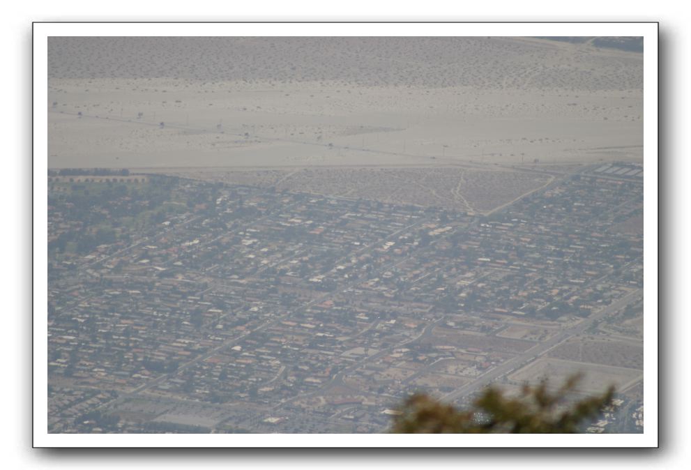 Top-of-the-Palm-Springs-Tram-0029