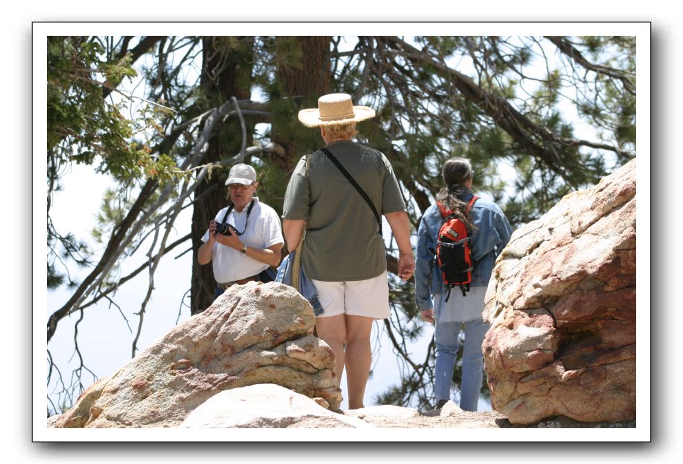 Top-of-the-Palm-Springs-Tram-0196