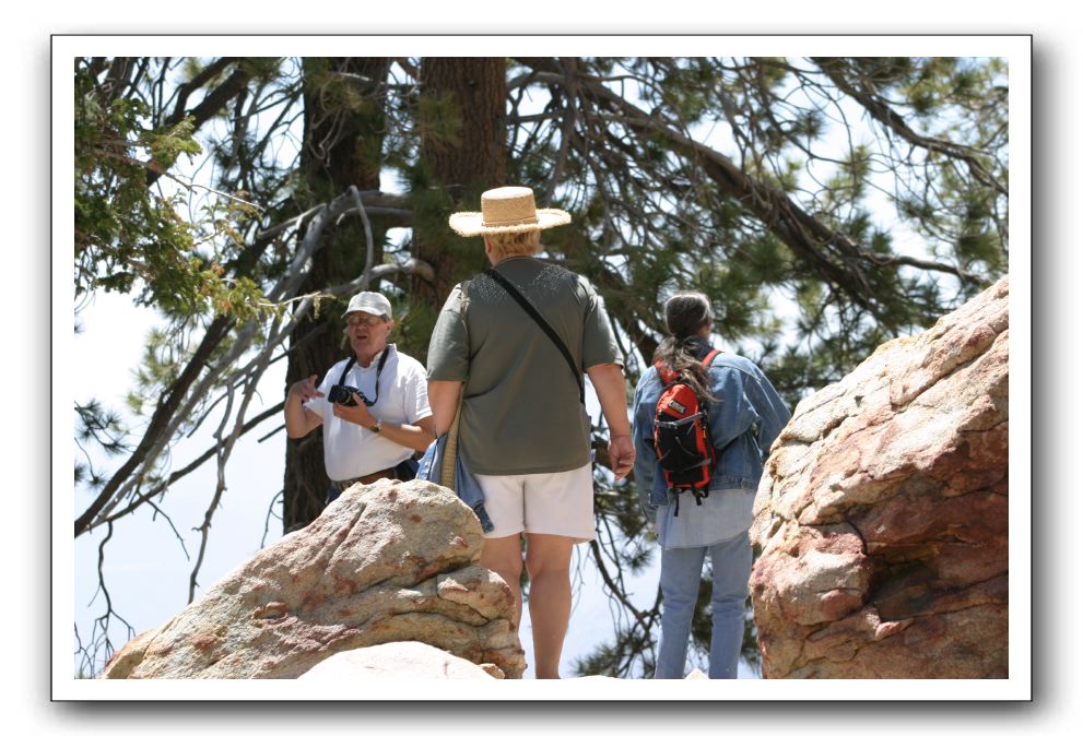 Top-of-the-Palm-Springs-Tram-0197