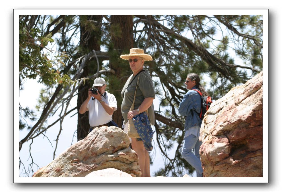 Top-of-the-Palm-Springs-Tram-0198