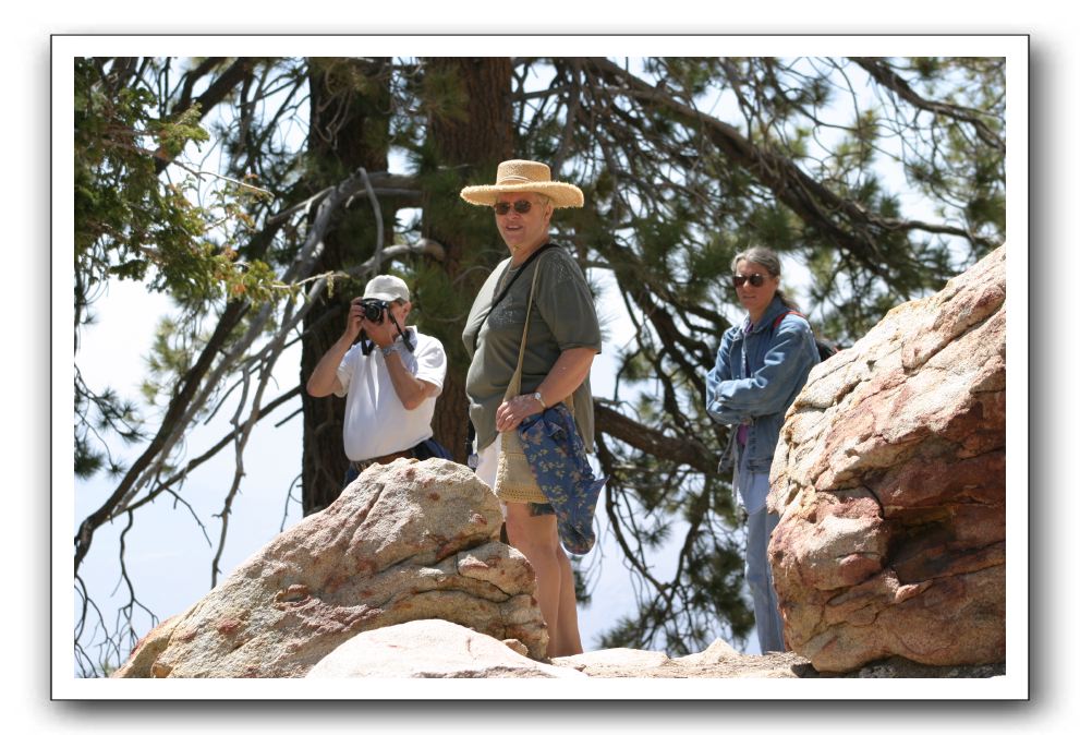 Top-of-the-Palm-Springs-Tram-0199