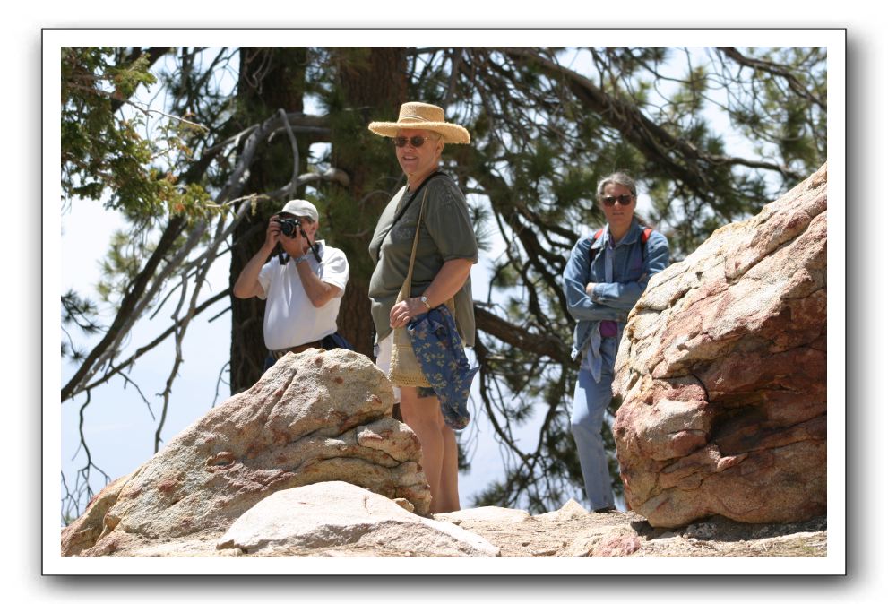 Top-of-the-Palm-Springs-Tram-0200