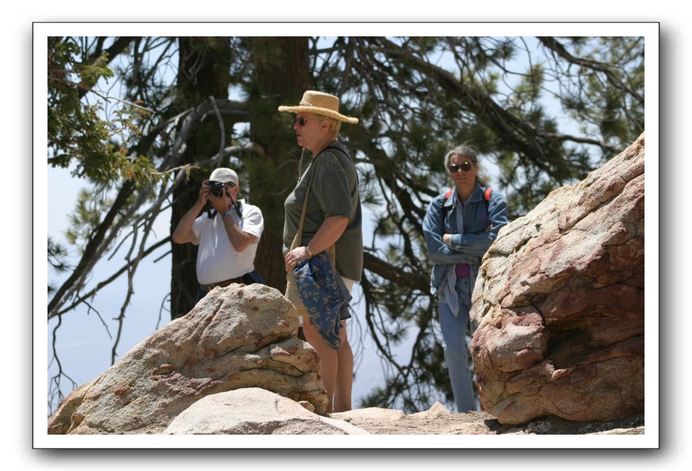 Top-of-the-Palm-Springs-Tram-0201