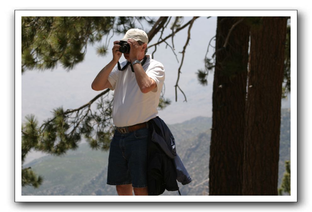 Top-of-the-Palm-Springs-Tram-0203