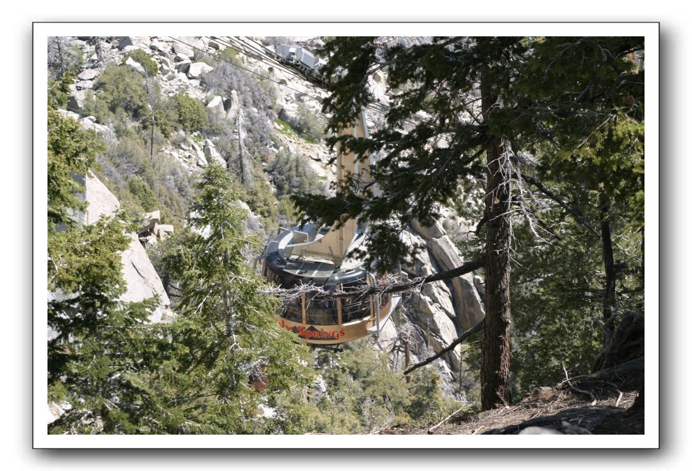 Top-of-the-Palm-Springs-Tram-0036