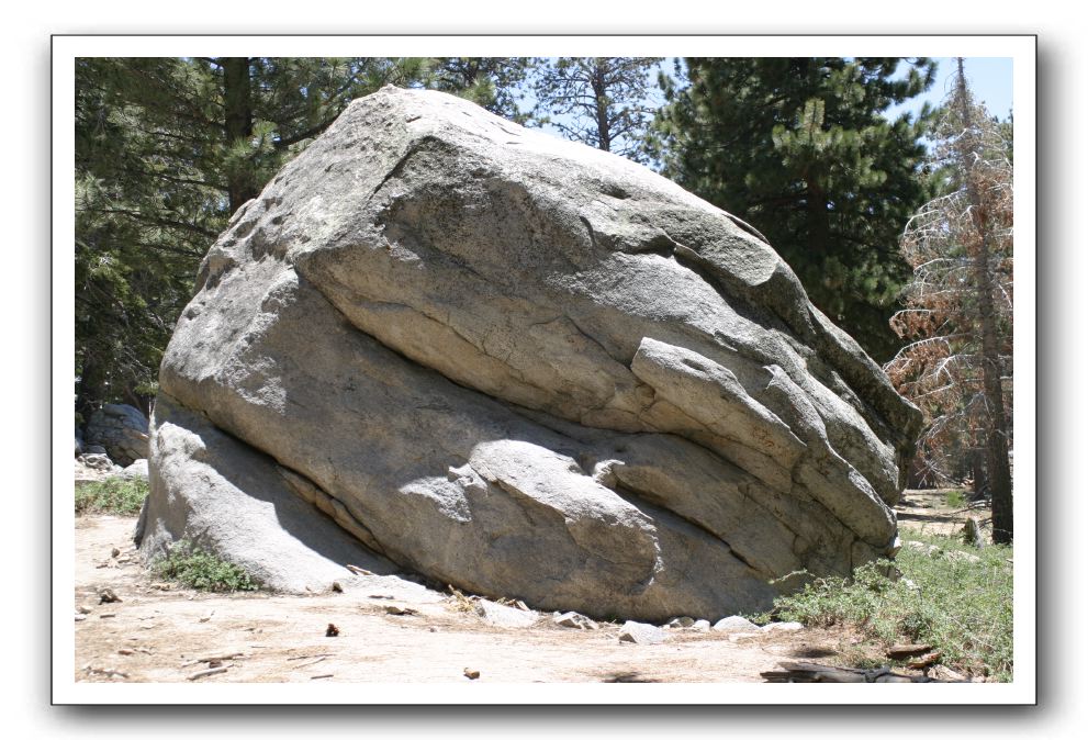 Top-of-the-Palm-Springs-Tram-0234