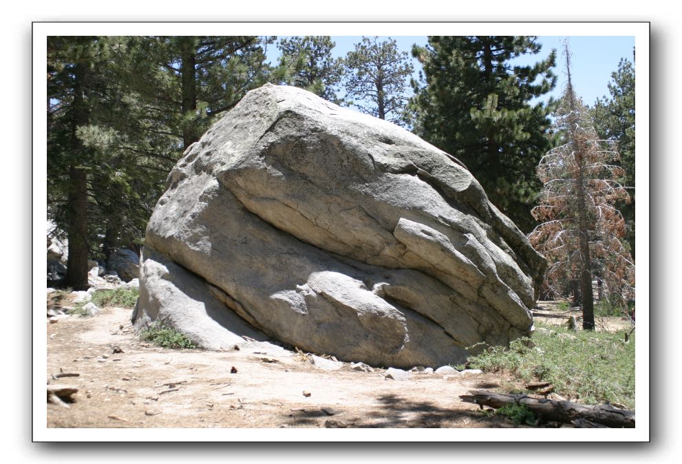 Top-of-the-Palm-Springs-Tram-0235