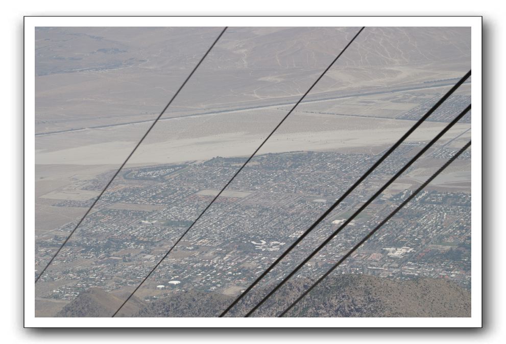 Top-of-the-Palm-Springs-Tram-0237