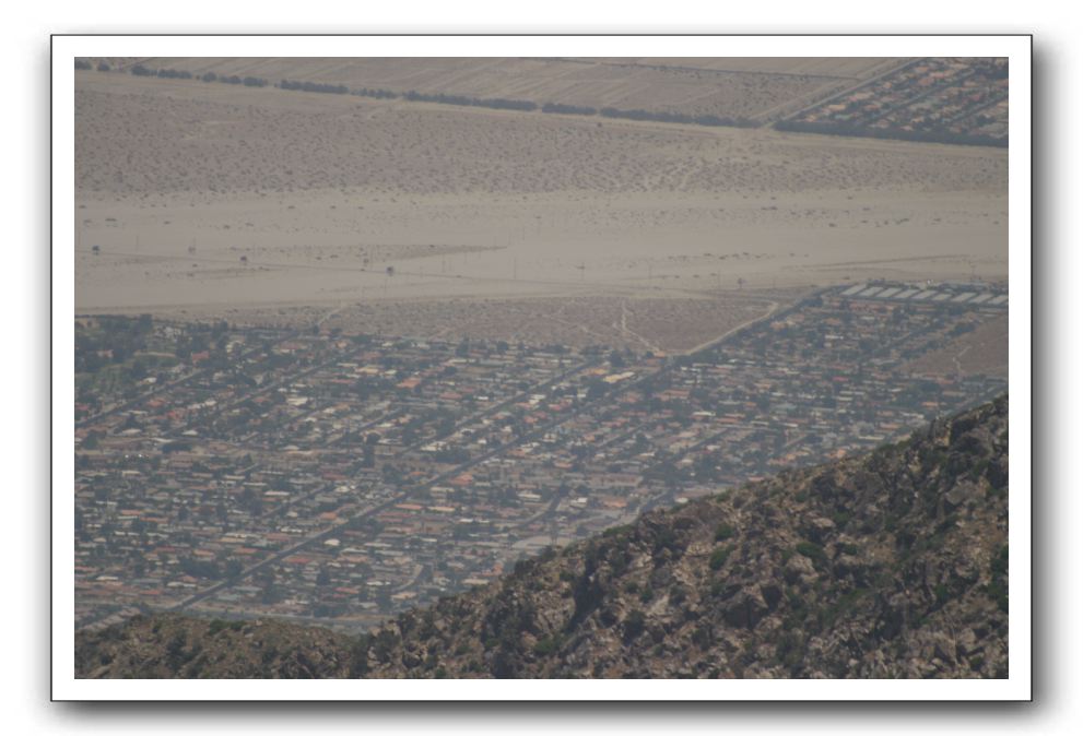 Top-of-the-Palm-Springs-Tram-0240