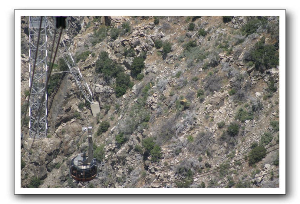 Top-of-the-Palm-Springs-Tram-0243