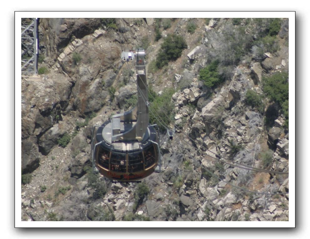 Top-of-the-Palm-Springs-Tram-0244