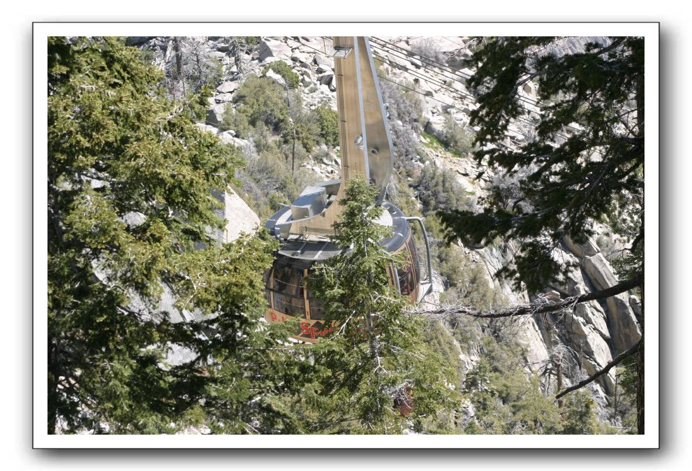 Top-of-the-Palm-Springs-Tram-0038