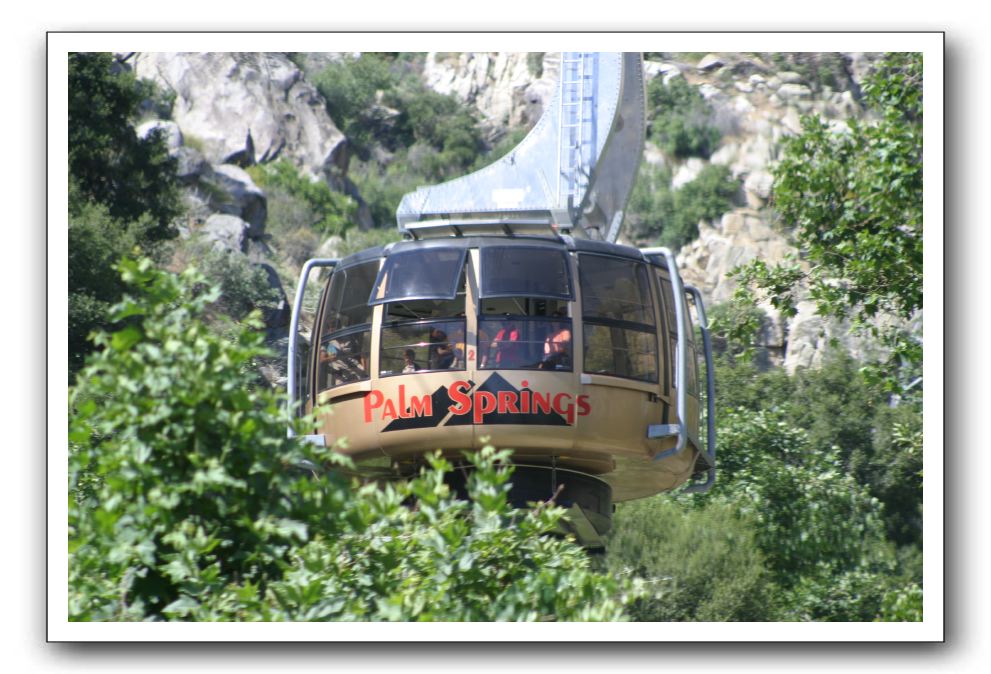 Top-of-the-Palm-Springs-Tram-0004