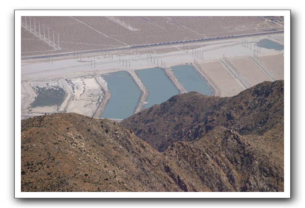 Top-of-the-Palm-Springs-Tram-0047