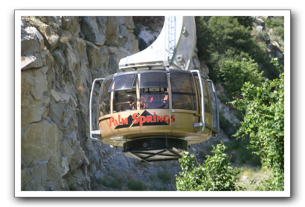 Top-of-the-Palm-Springs-Tram-0010