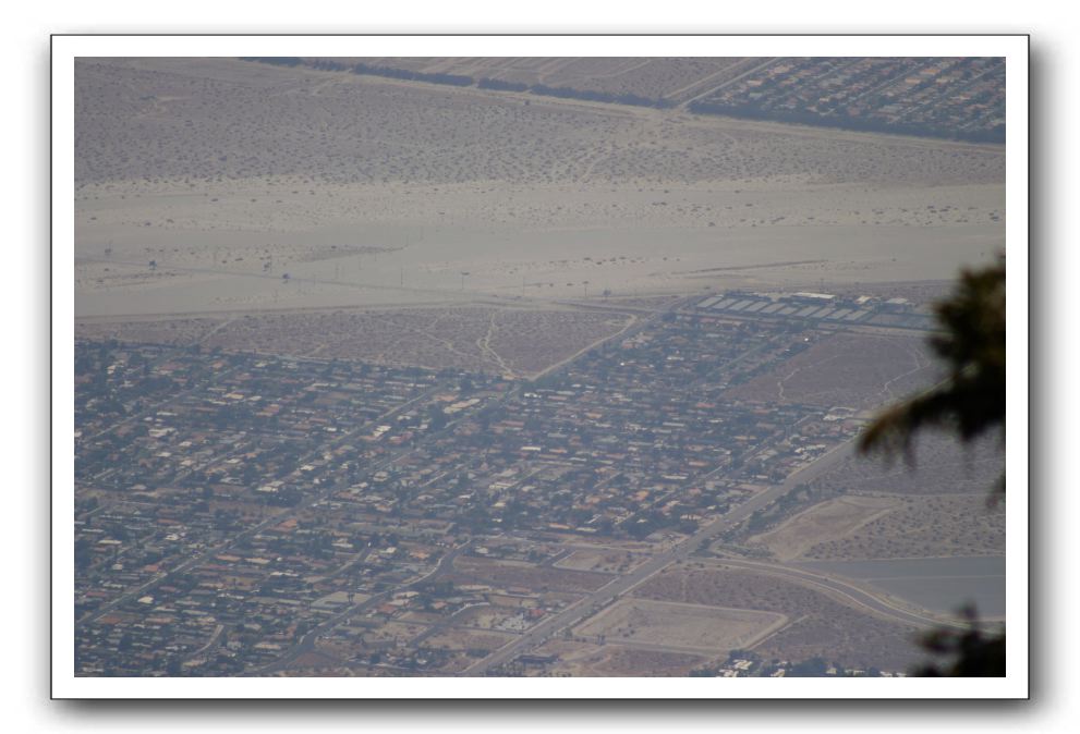 Top-of-the-Palm-Springs-Tram-0015