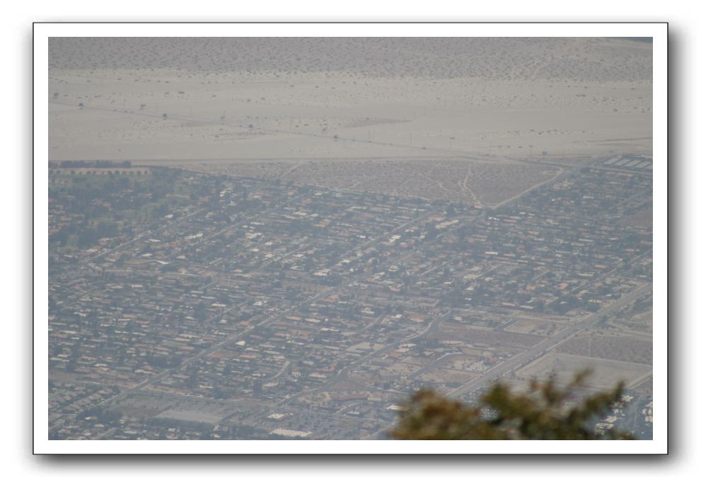 Top-of-the-Palm-Springs-Tram-0026