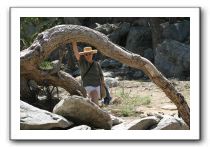 Top-of-the-Palm-Springs-Tram-0186