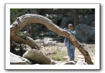 Top-of-the-Palm-Springs-Tram-0190