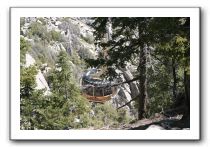 Top-of-the-Palm-Springs-Tram-0035