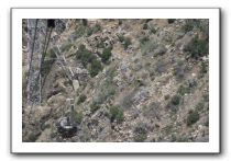 Top-of-the-Palm-Springs-Tram-0243