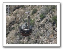 Top-of-the-Palm-Springs-Tram-0244