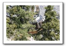 Top-of-the-Palm-Springs-Tram-0046