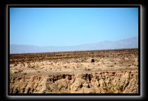 Anza Borrego and Julian Fire September 2007 047