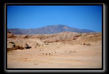 Anza Borrego and Julian Fire September 2007 090