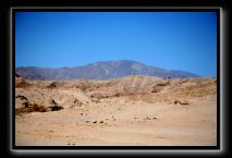 Anza Borrego and Julian Fire September 2007 091