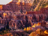 Bryce-Canyon-June-2017-1003