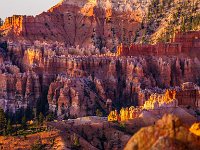 Bryce-Canyon-June-2017-1004