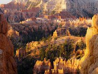 Bryce-Canyon-June-2017-1005