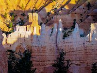 Bryce-Canyon-June-2017-1008