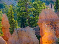 Bryce-Canyon-June-2017-1009