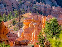 Bryce-Canyon-June-2017-1010