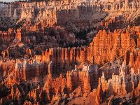 Bryce-Canyon-June-2017-1013