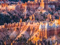 Bryce-Canyon-June-2017-1019