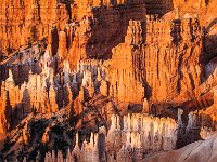 Bryce-Canyon-June-2017-1020