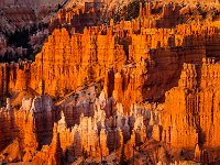 Bryce-Canyon-June-2017-1025