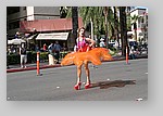 Palm-Springs-Gay-Pride-5015.JPG