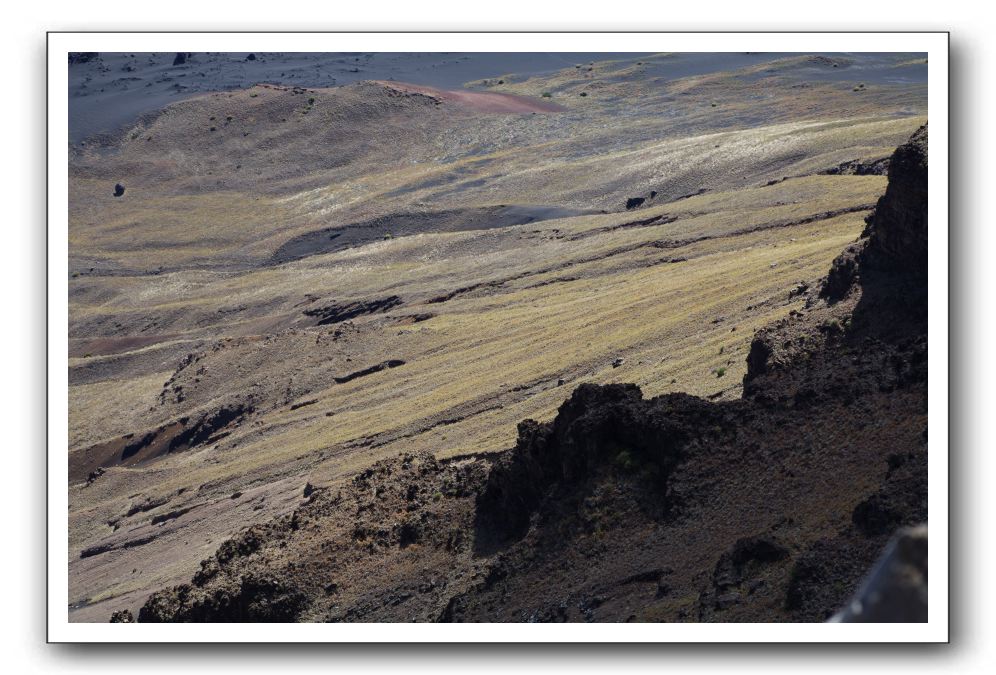 Haleakala-Volcano-Maui-254