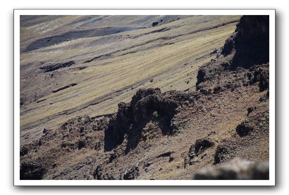 Haleakala-Volcano-Maui-296