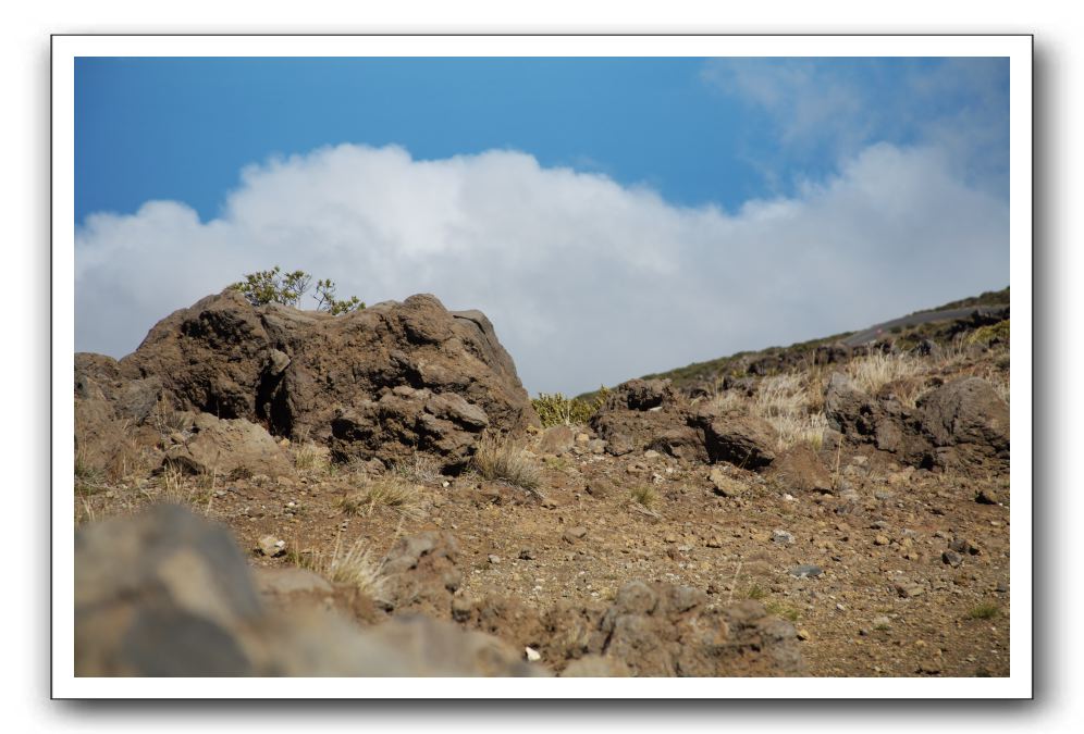 Haleakala-Volcano-Maui-308