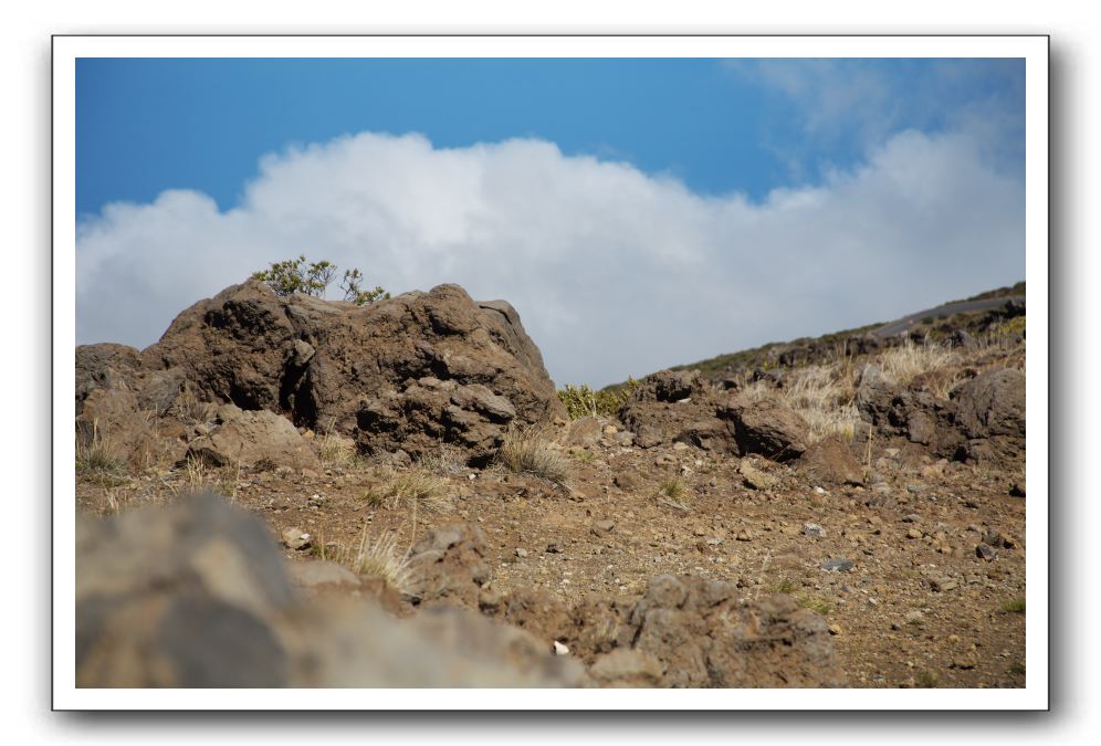 Haleakala-Volcano-Maui-309