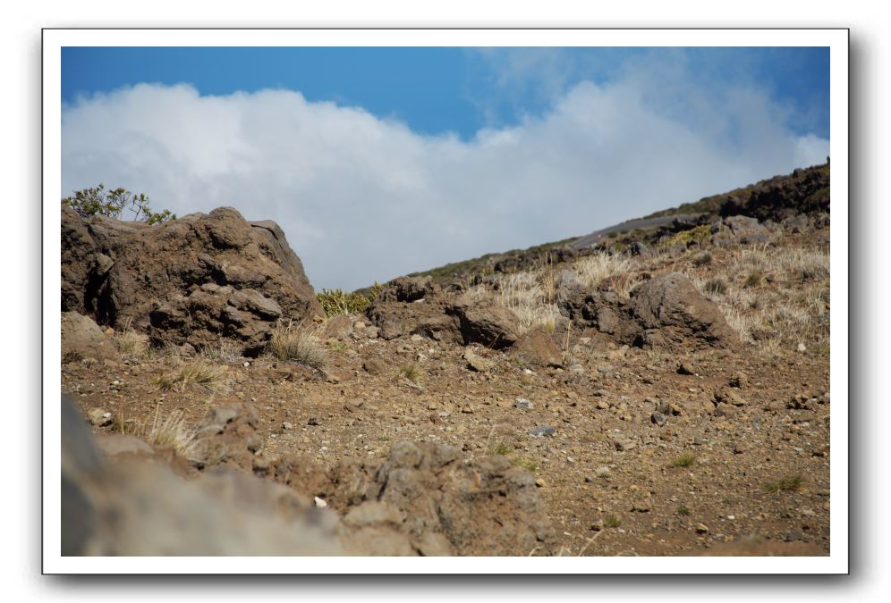 Haleakala-Volcano-Maui-310