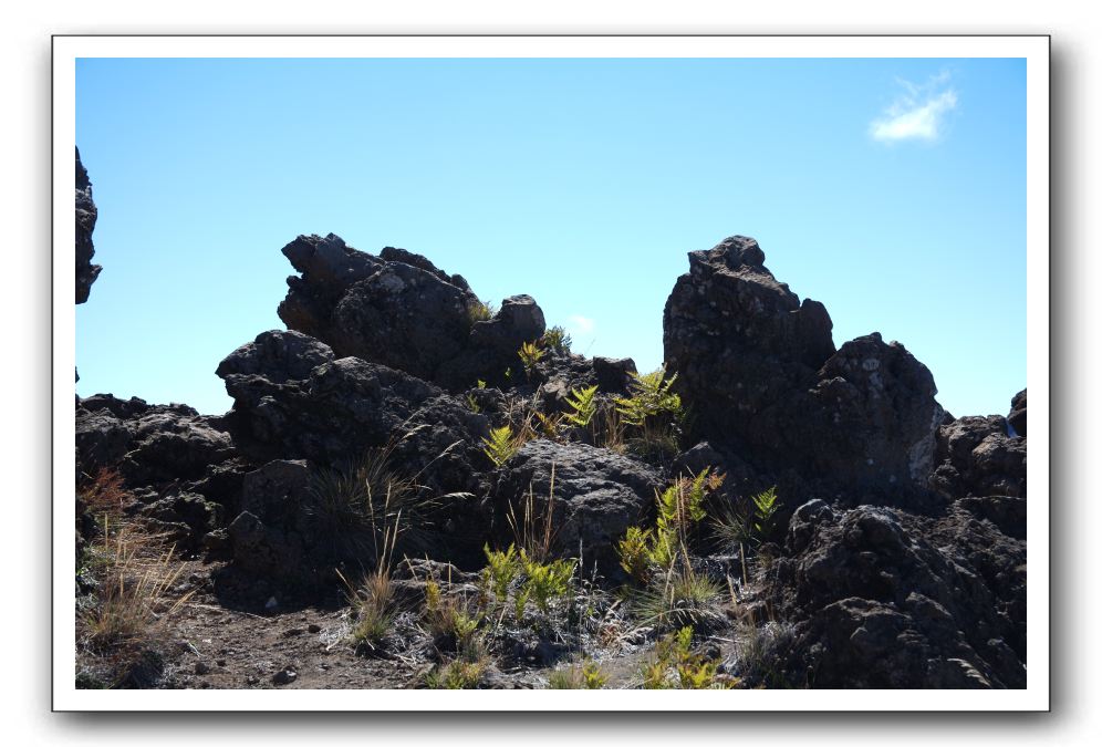 Haleakala-Volcano-Maui-328