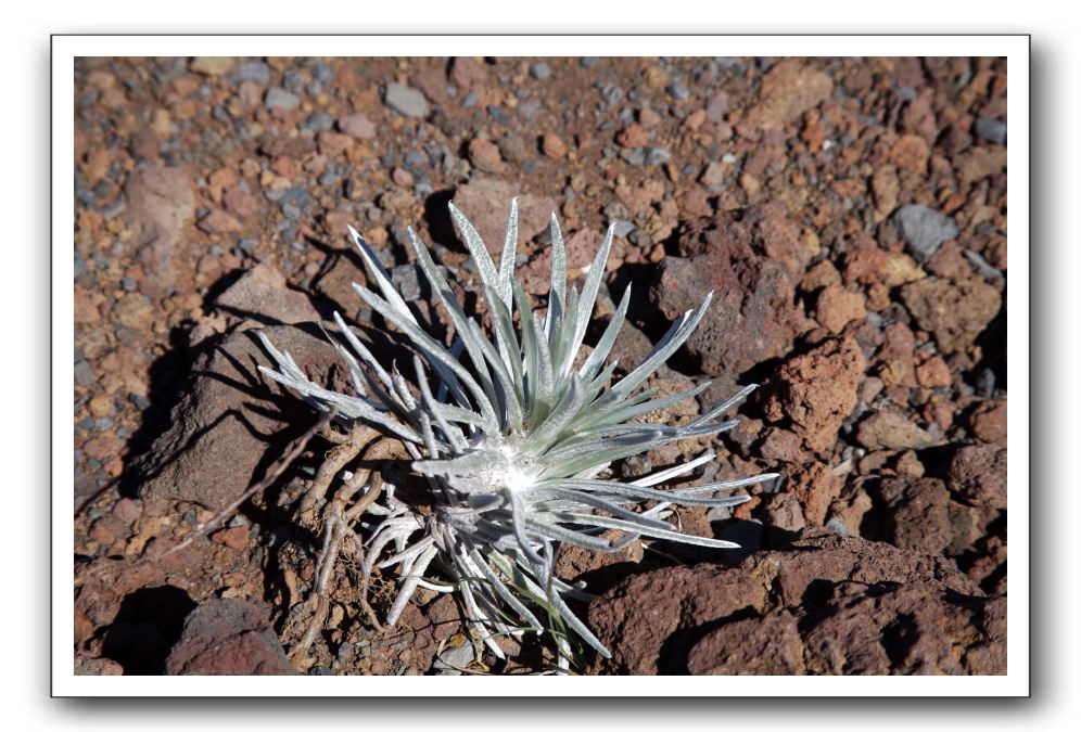 Haleakala-Volcano-Maui-073